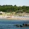 Spiaggia con ombrelloni e mare in primo piano, folta vegetazione sullo sfondo.